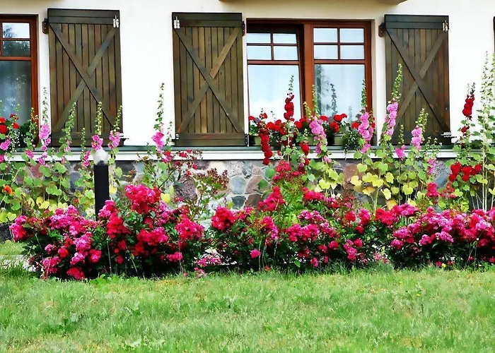 Joseph Conrad & Wellness 2* Pisz